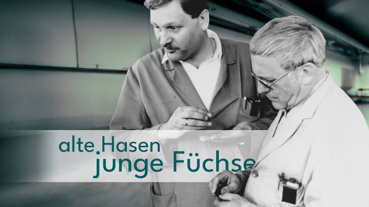 alte Hasen junge Füchse Cover